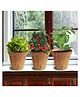 Ecofynd 3 in 1 Salad Gardening Kit: Cherry Tomato, Capsicum Mix, Lettuce