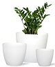 ecofynd Black 3 Pack Terracotta Pots for Plants