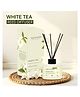 Soul & Scents Reed Diffuser  For White Tea Fragrance- 120 ml, 6 Fiber Reed Sticks