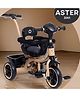 Fun Ride Kids Aster Tricycle with 360 Rotatable Seat, Parental Control Handle for 1.5 to 5 Years - Musical Trike for Kids with Safety Handle for Boys and Girls - Beige
