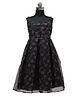 HEYKIDOO Organza Sleeveless Floral Printed Fit & Flare Dress - Black