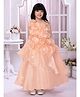 Tiny Kingdom Sleeveless Floral Applique Detailed Gown - Peach