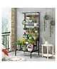RIZIK STORE 3-Tier Metal Plant Stand  Rust Proof, Tall Ladder Flower Pot Holder for Indoor & Outdoor Balcony, Living Room Display (Black (Pack of 1))