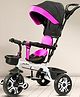 Little Olive Tricycle With Canopy & Front Back Storage Basket - Black & Pink