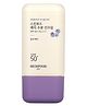 Skinfood Berry Moisturising Sun Cream - Korean Sun Protection