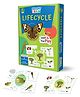 Majestic Book CLUB Bright Brain Lifecycle Puzzle - Explore & Understand Lifecycles with 40 Puzzle Pieces  Perfect for Kids Age 3+ - Gift Box by Majestic Book Club