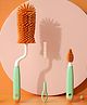 Bembika Baby Bottle Brushes: The Ultimate Bottle Brush Set For Your Baby Feeding Bottle Brush And Nipple Cleaner Brush Needs Green Set of 3