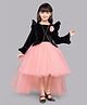PinkChick Velvet Full Bell Sleeves Floral Applique Detailed High Low Dress - Peach
