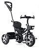 Plug & Play Tricycle With Parental Push Handle - Black