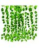 Bubble Trouble Wall Hanging Artificial Creeper Money Plant Strings Set of 6 Green Color for Interior Decoration Art Craft USLSTN1