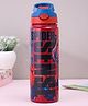 Spider Man Stainless Steel Insulated Hot and Cold Sipper Bottle - 500 ml(Color & Print May Vary)