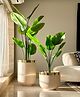 Mason Home Minsk Planter Medium - Beige