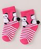 Mustang Cotton Knit Mid Calf Length Socks with Stripes & Panda Design - Fuchsia