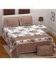 Bombay Spreads 180 TC 100 Percent Premium Cotton Beige Color King Size Bedsheet With 2 Pillow Cover(UCNandani3101_Chocolate) 180 Thread Count