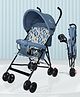 R for Rabbit Pixie Toddles Buggy and Stroller, Baby Stroller and Buggy for Baby, New Born, Kids - Buggy for Kids, Travel Friendly Portable Easy Foldable and Carry, Kids Age 6-36 Months (Abstract Blue)