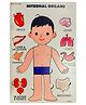 The Flyers Bay Wooden Human Body Anatomy Puzzle for Preschoolers and Kids Ages 3+ (Male)