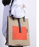 Sanjary Multi-Purpose Hand Bag, with Handle Strap, Water-Proof Reusable Bag color design may vary