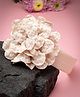 Stol'n Floral Applique Detailed Headband - Cream