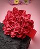 Stol'n Floral Applique Detailed Headband - Red