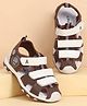 Pine Kids Velcro Closure Solid Sandals - Brown