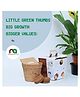 Ninsar Agritech kids microgreen DIY kits