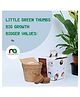 Ninsar Agritech  Kids Microgreen DIY kits
