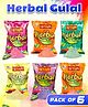 Fiddlerz Holi Herbal Gulal Organic Colors for Holi Celebration Non-Toxic and Skin-Friendly Holi Gulal Gift Pack of 6