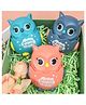 AKN TOYS Press & Go Owl Crawling Toys for Kids Press and Go Animal Vehicle Toy for Toddlers and Kids-PACK OF 3 ( COLOR AND DESIGN MAY VARY )
