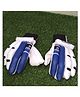 JD Sports Cricket Batting Gloves Material PVC Cotton Youth Size Pack Of 1 Pair - Blue