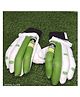 JD Sports Cricket Batting Gloves Material PVC Cotton Men Size Pack Of 1 Pair - Green