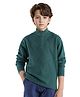 Rare Ones Cotton Full Sleeves Self Design Sweater - Dark Green