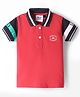 Ruff Cotton Knit Half Sleeves Polo T-Shirt with Text Print & Tape Detailing - Red