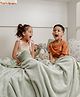Haus & Kinder Plain Brush Cloth Super Soft Plush Single  Flannel Blanket, Sage Green