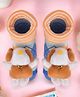 Yellow Bee Cotton Teddy Bear Applique Detailed Colour Blocked Socks - Blue & Beige
