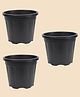 Ugaoo Garden Plastic Pots for Indoor Plants (10 inch, Set of 3)