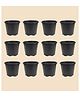 Ugaoo Garden Plastic Pots for Indoor Plants (10 inch, Set of 12)