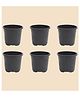 Ugaoo Garden Plastic Pots for Indoor Plants (12 inch, Set of 6)