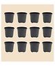 Ugaoo Garden Plastic Pots for Indoor Plants (12 inch, Set of 12)