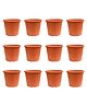 UGAOO UV Treated Gardening Pots and Planters for Plants (10 inch Brown/ Terracotta Color Set of 12 Plastic Pots)