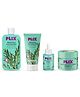 PLIX Rosemary Anti Hairfall Kit - Serum, Shampoo, Conditioner & Hair Mask |  Increase Hair Density & Volume | Pack of 4