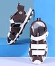 Pine Kids Sandals with Velcro Closure & Colour Block Design - Brown