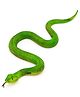 SUPER TOY Realistic Snake Toy for Parties and Decorations - Green