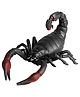SUPER TOY Realistic Animal Figure Toy Set, Scorpion Figurine Set for Boys and Girls, Educational Toy Animal, Cold Blooded Animal Set, Props Toys, Prank Toy, Lifelike Animal Toy