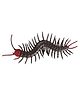 SUPER TOY Realistic Centipede Animal Figure Toy Arthropod Figurine Set for Boys and Girls, Educational Cold Blooded Animal Set, Props Prank Toy Lifelike Animal Replica