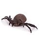 SUPER TOY Realistic Arthropod missulena Educational Toy Cold Blooded Prank Toy Lifelike Animal Figure Toy Set for Boys and Girls