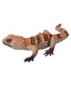 SUPER TOY Reptile Toy for Kids Realistic Gecko Lizard Figurine Rubber Animal Cold Blooded Lifelike Soft Prank Toys Educational Gift Boys Girls Props Toys