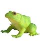 SUPER TOY Aquatic Animal Frog Toy for Kids Realistic Fish Squishy Figurines Rubber Sea Animal Soft Squeeze Toy for Boys Girls Lookalike Ocean Creatures Educational Gift