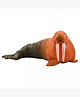 SUPER TOY Aquatic Animal Toy for Kids Realistic Walrus Fish Squishy Figurines Rubber Sea Animal Soft Squeeze Toy for Boys Girls Lookalike Ocean Creatures Educational Gift