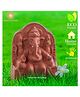 Swadeshi Blessing Handmade 100% Eco-Friendly Tulsi Ganesha Kit-5 Inches