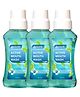 Assure Active Mouth Wash Liquid 250 ml Each Pack of 3